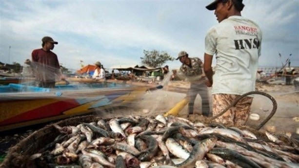 Принудительный труд в тайской рыбной промышленности