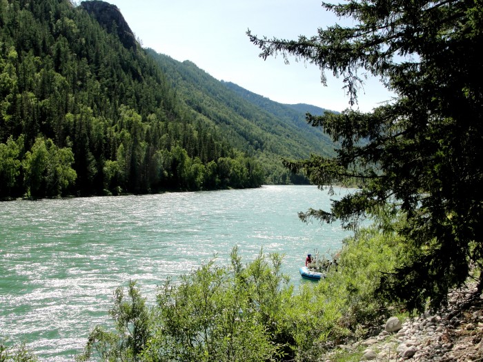 Река катунь горный алтай фото