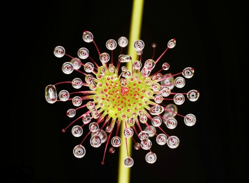 small-image