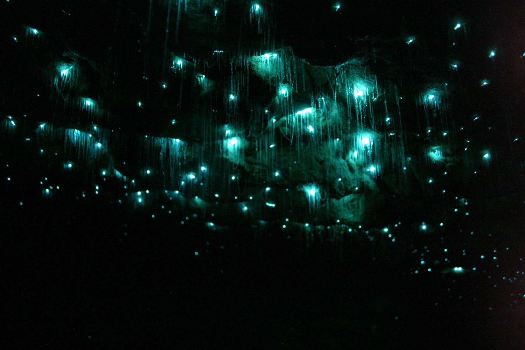 low-res-spellbound-light-show-copy
