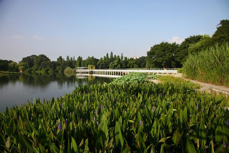park-kitay3